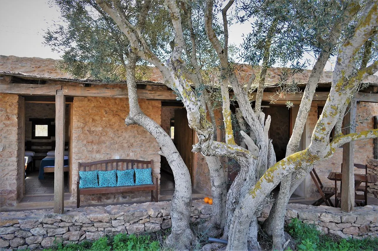 Vila Siamoformentera Analissa San Francisco Javier Španělsko